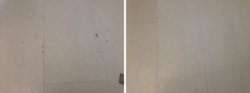 Before and After Image